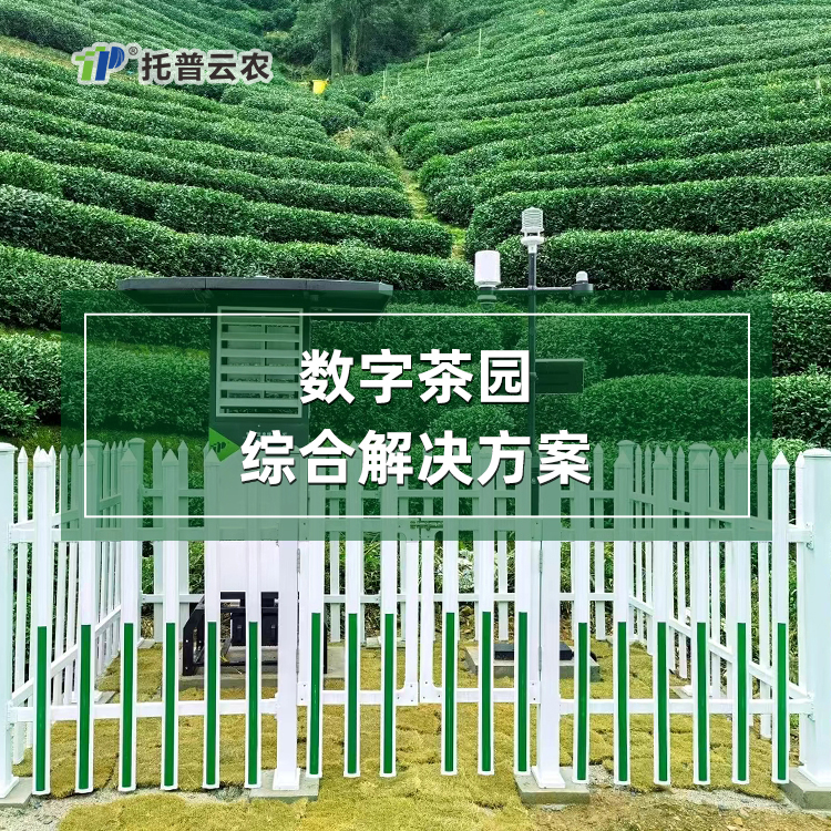 數(shù)字茶園綜合建設方案