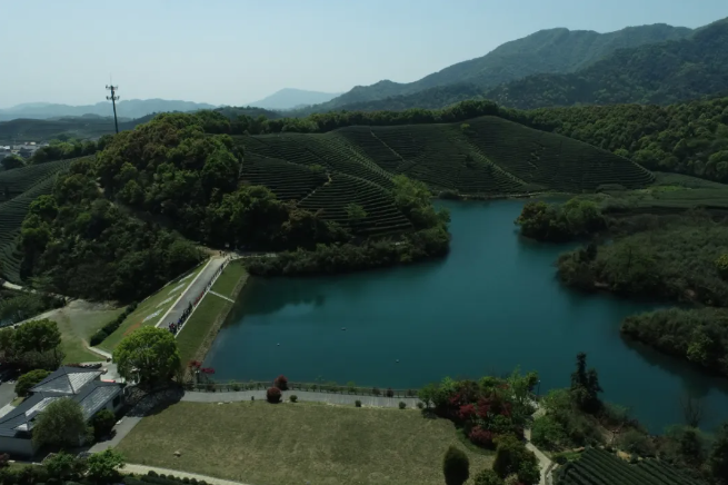 建設(shè)智慧生態(tài)茶園，托普云農(nóng)為西湖龍井茶“保駕護(hù)航”